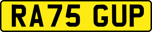 RA75GUP