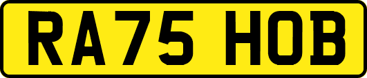 RA75HOB