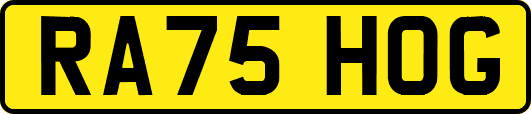 RA75HOG