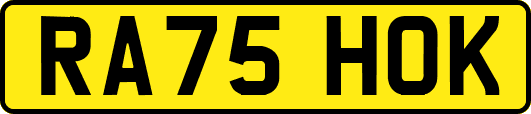 RA75HOK