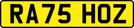 RA75HOZ