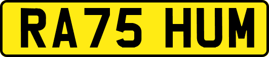 RA75HUM