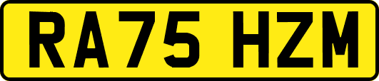 RA75HZM
