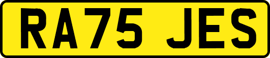 RA75JES