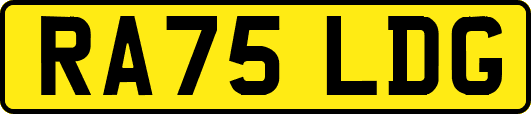 RA75LDG