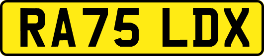 RA75LDX