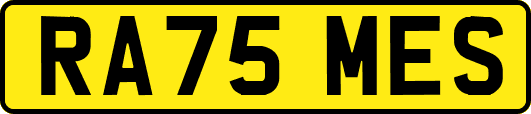 RA75MES