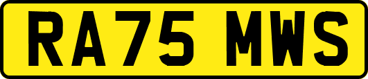 RA75MWS