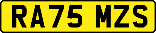 RA75MZS