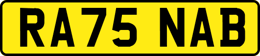 RA75NAB
