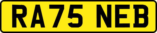 RA75NEB