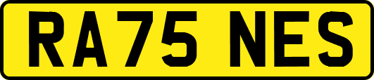 RA75NES