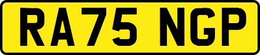 RA75NGP