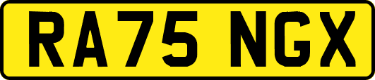 RA75NGX