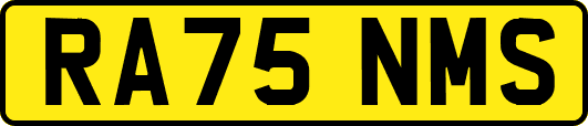 RA75NMS