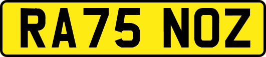 RA75NOZ