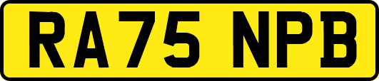 RA75NPB