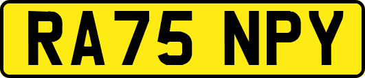 RA75NPY