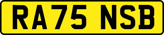 RA75NSB