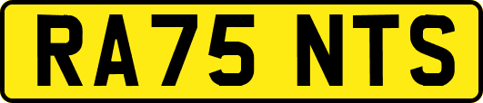 RA75NTS