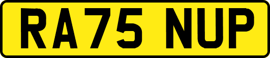 RA75NUP