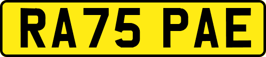 RA75PAE