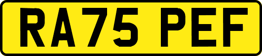 RA75PEF
