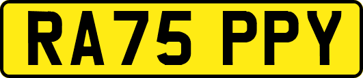 RA75PPY
