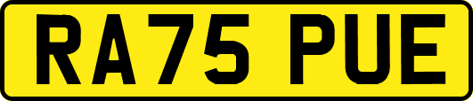 RA75PUE