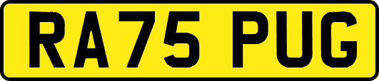 RA75PUG