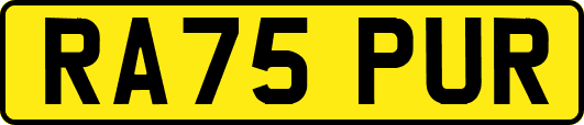 RA75PUR