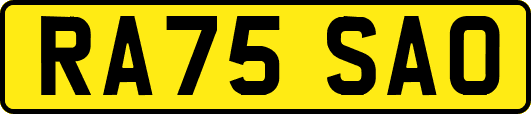 RA75SAO