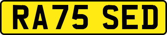 RA75SED