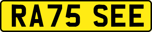 RA75SEE