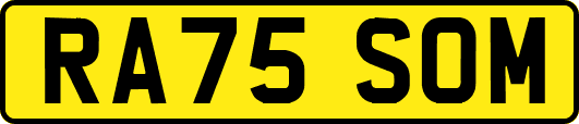 RA75SOM