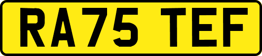 RA75TEF
