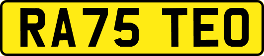 RA75TEO