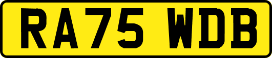 RA75WDB