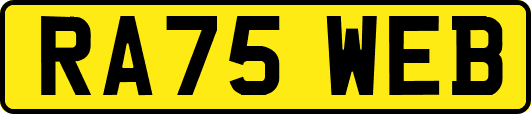 RA75WEB