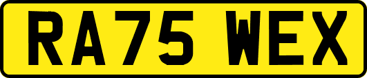 RA75WEX