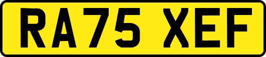 RA75XEF