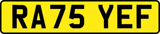 RA75YEF