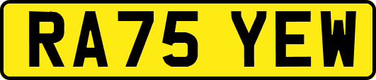 RA75YEW