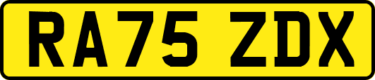 RA75ZDX