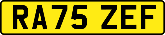 RA75ZEF