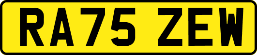 RA75ZEW