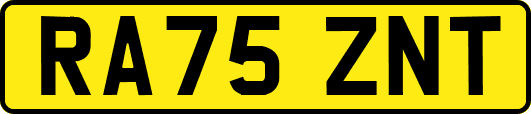 RA75ZNT