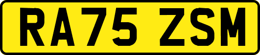 RA75ZSM