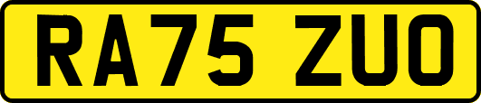 RA75ZUO