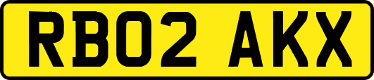 RB02AKX